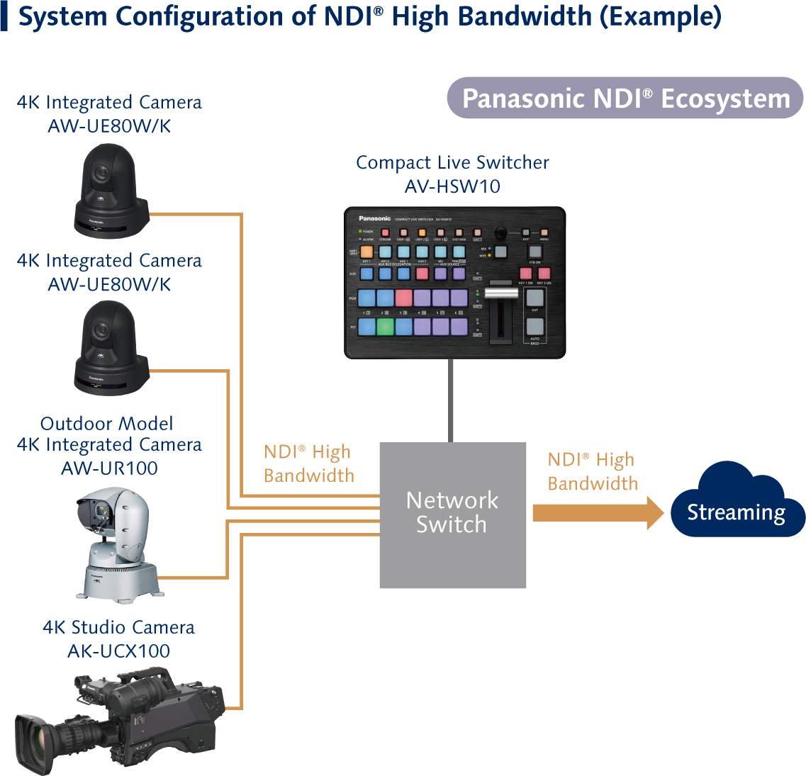 System Configuration of NDI® High Bandwidth (Example)