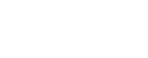 Media Bridg