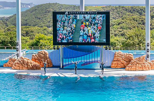 Photo: A large screen showing the audience